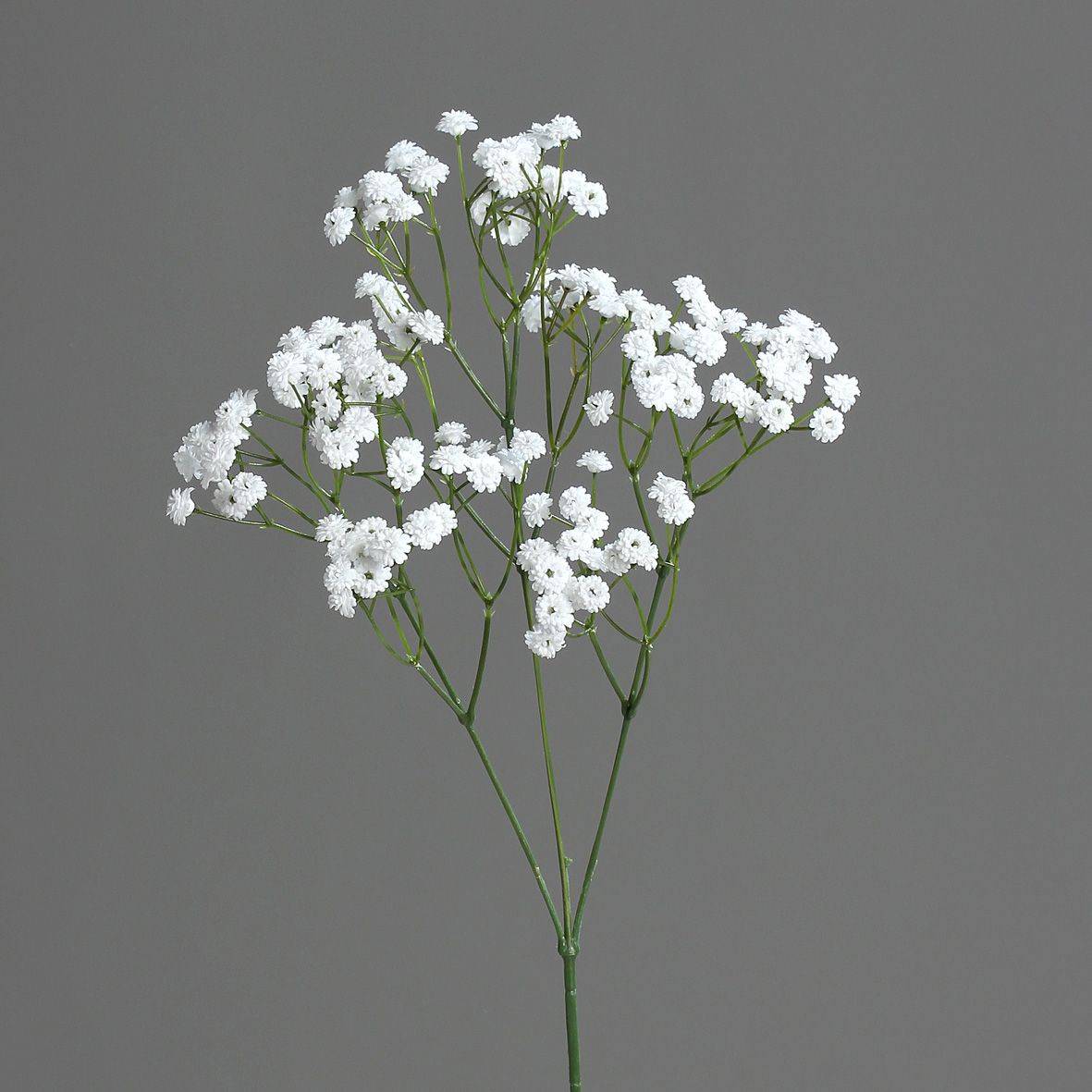 DPI - gypsophile, 67 cm