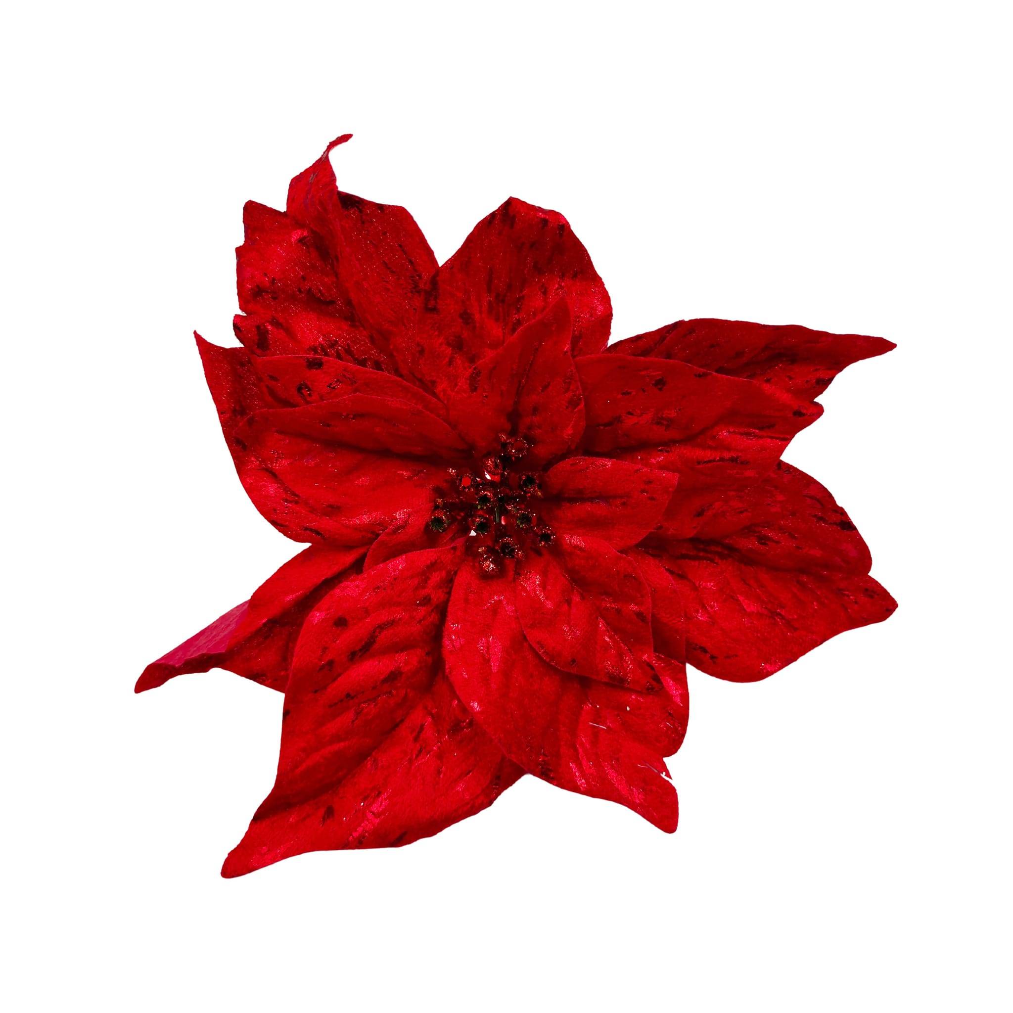 Ecloz - Clip Poinsettia Rouge - Ecloz - Imagen 1