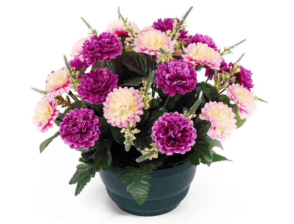 Coupe chrysanthèmes bruyère
