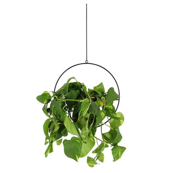 Pot suspendu Fer Noir L 15,3 cm l 34,6 cm H 65,5 cm - Image 2