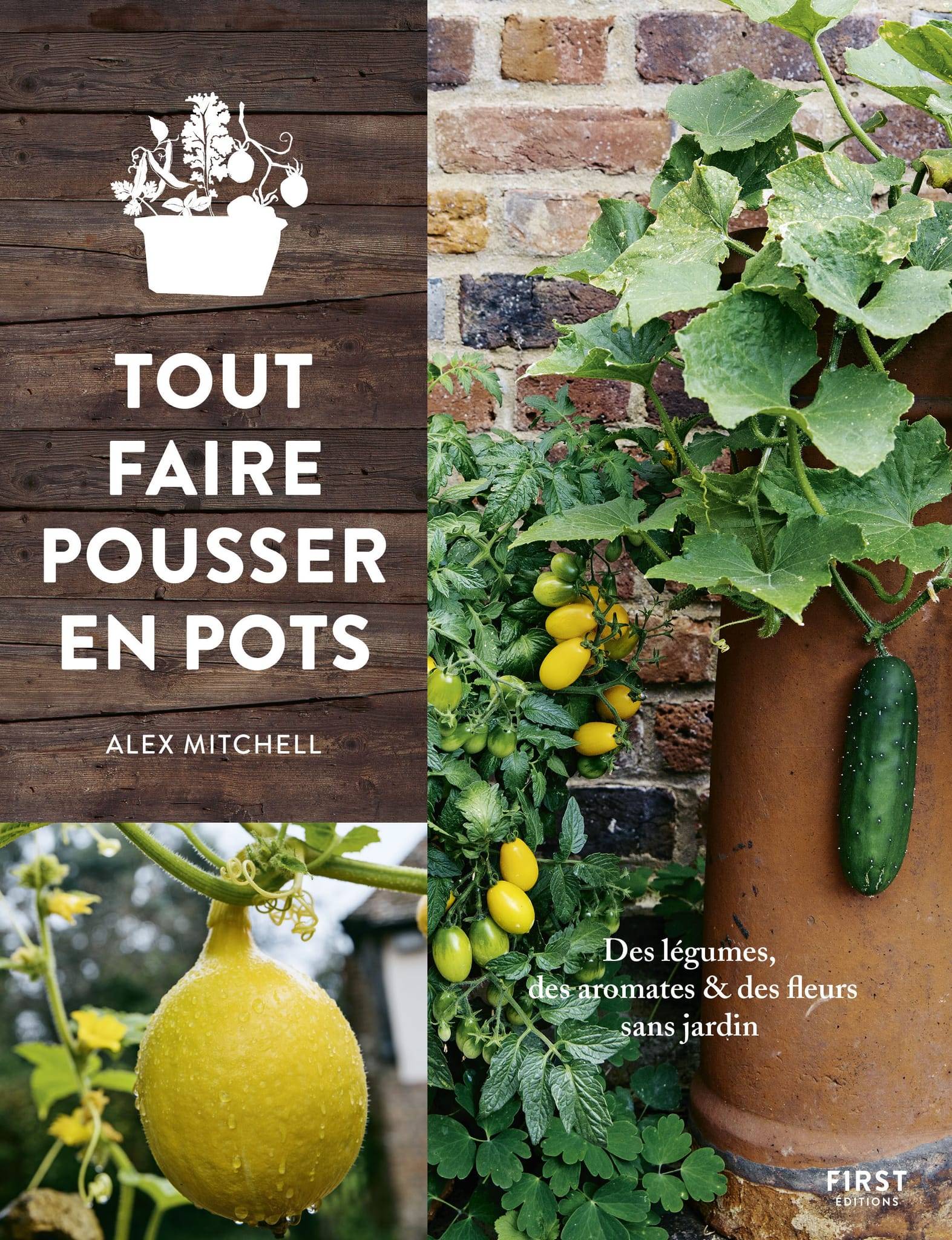 Tout faire pousser en pots