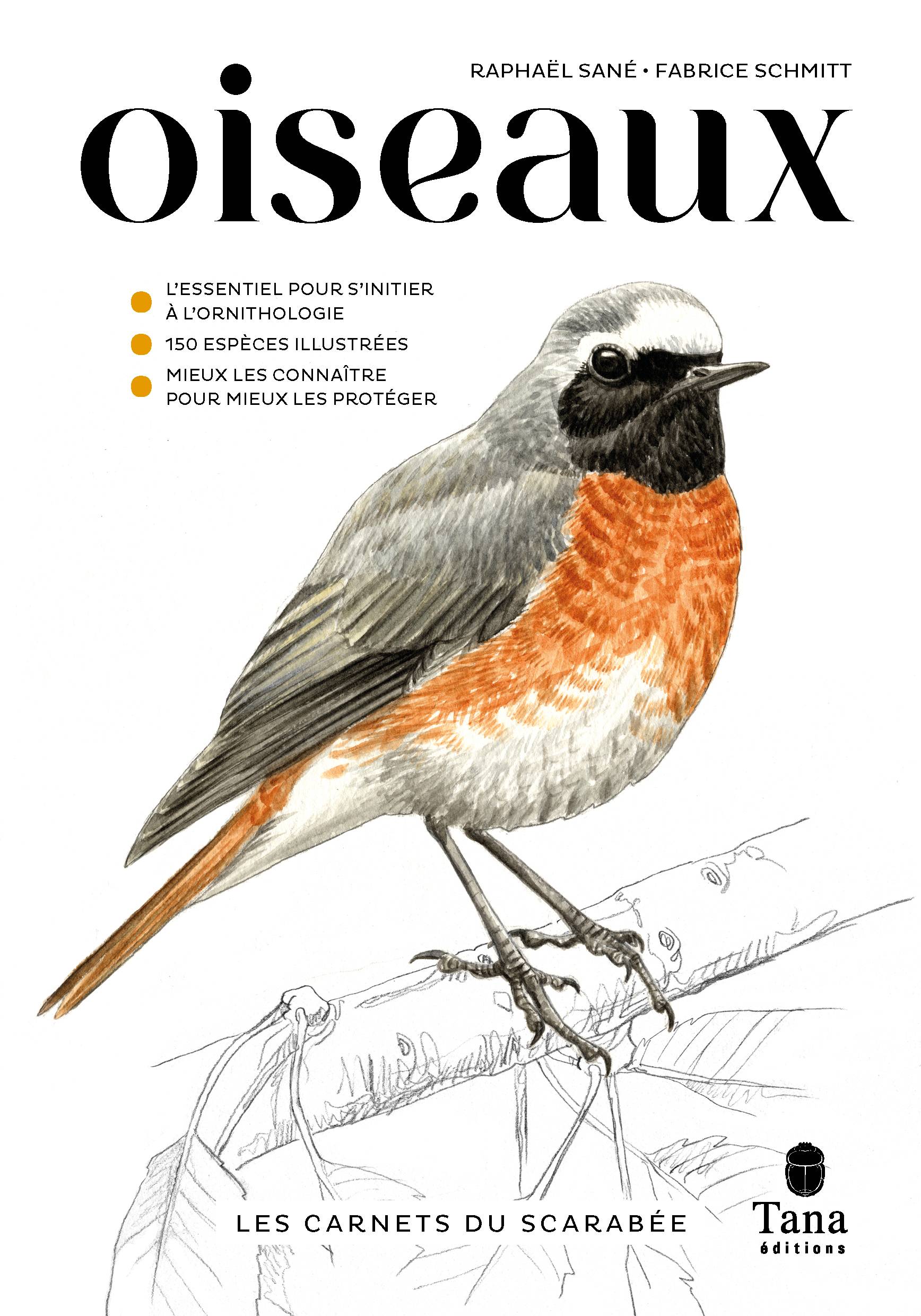 Los cuadernos del escarabajo - Aves