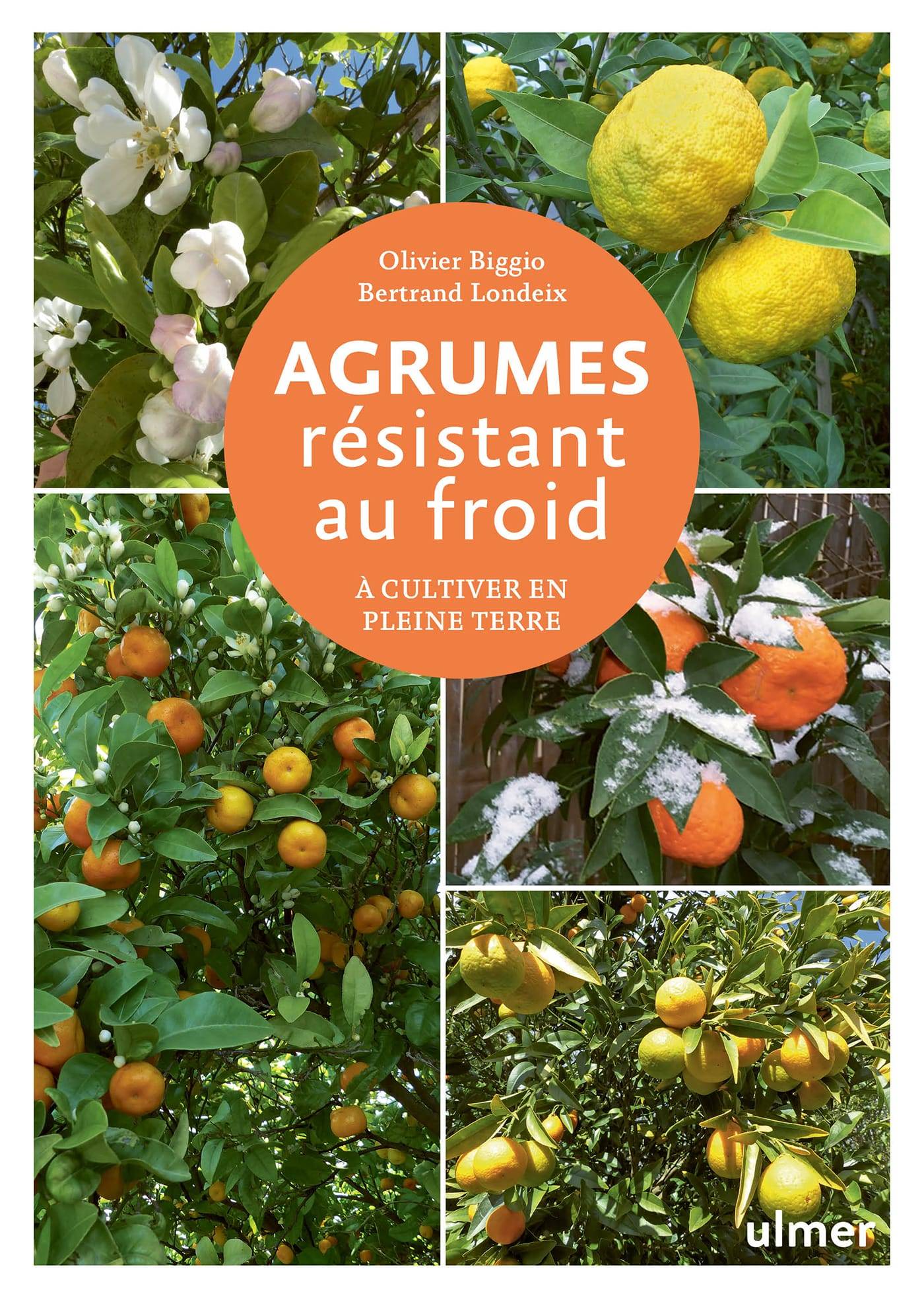 Ulmer - Agrumes résistant au froid