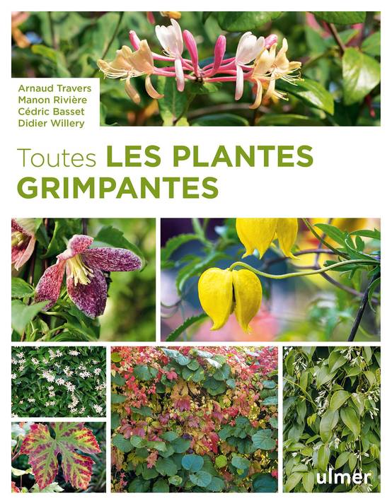 Ulmer - Toutes les plantes grimpantes