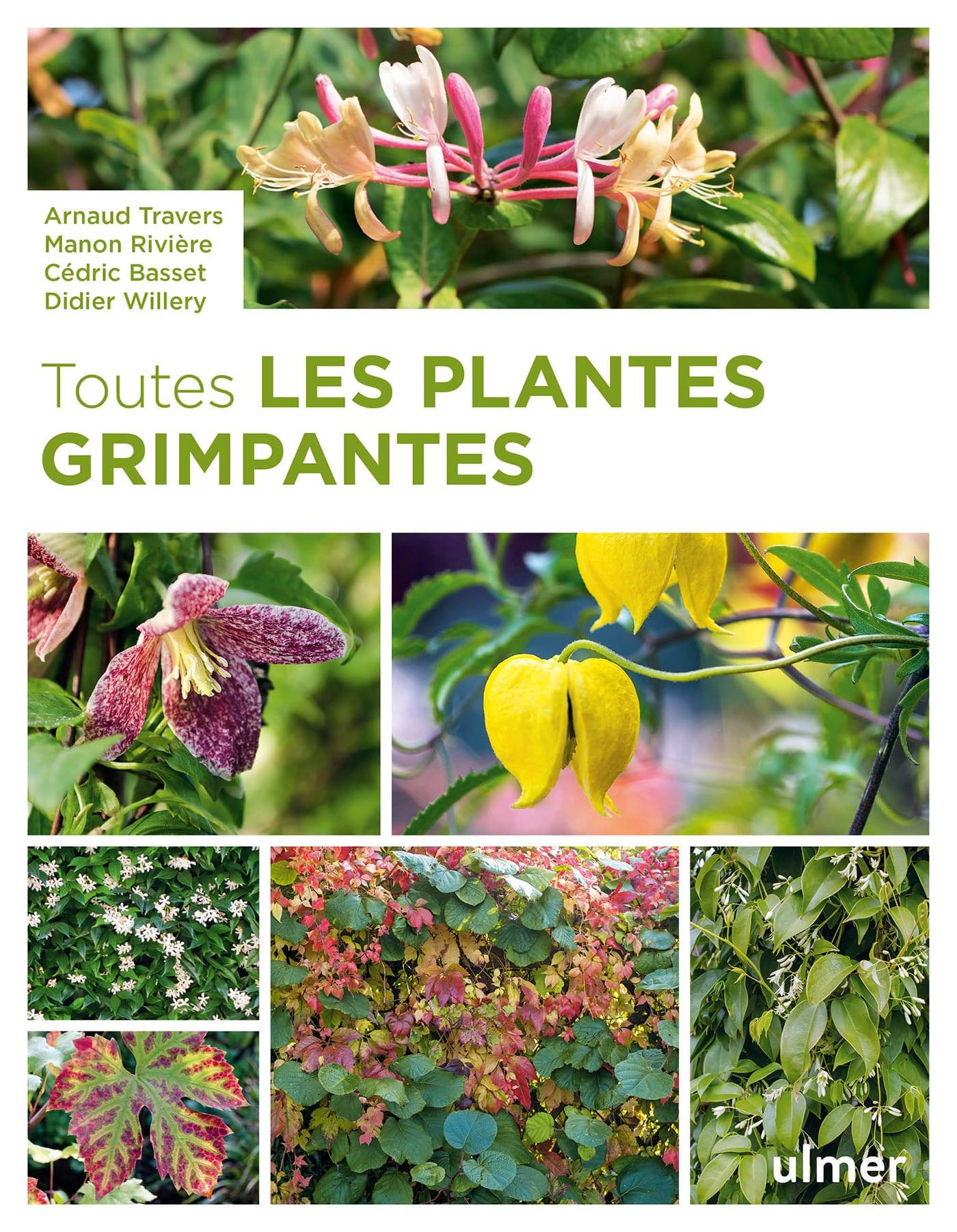 Ulmer - Toutes les plantes grimpantes