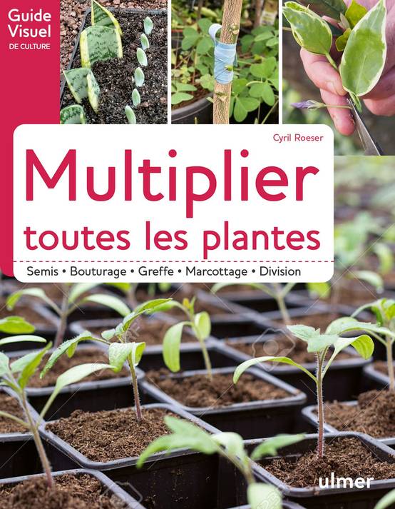 Ulmer - Multiplier toutes les plantes