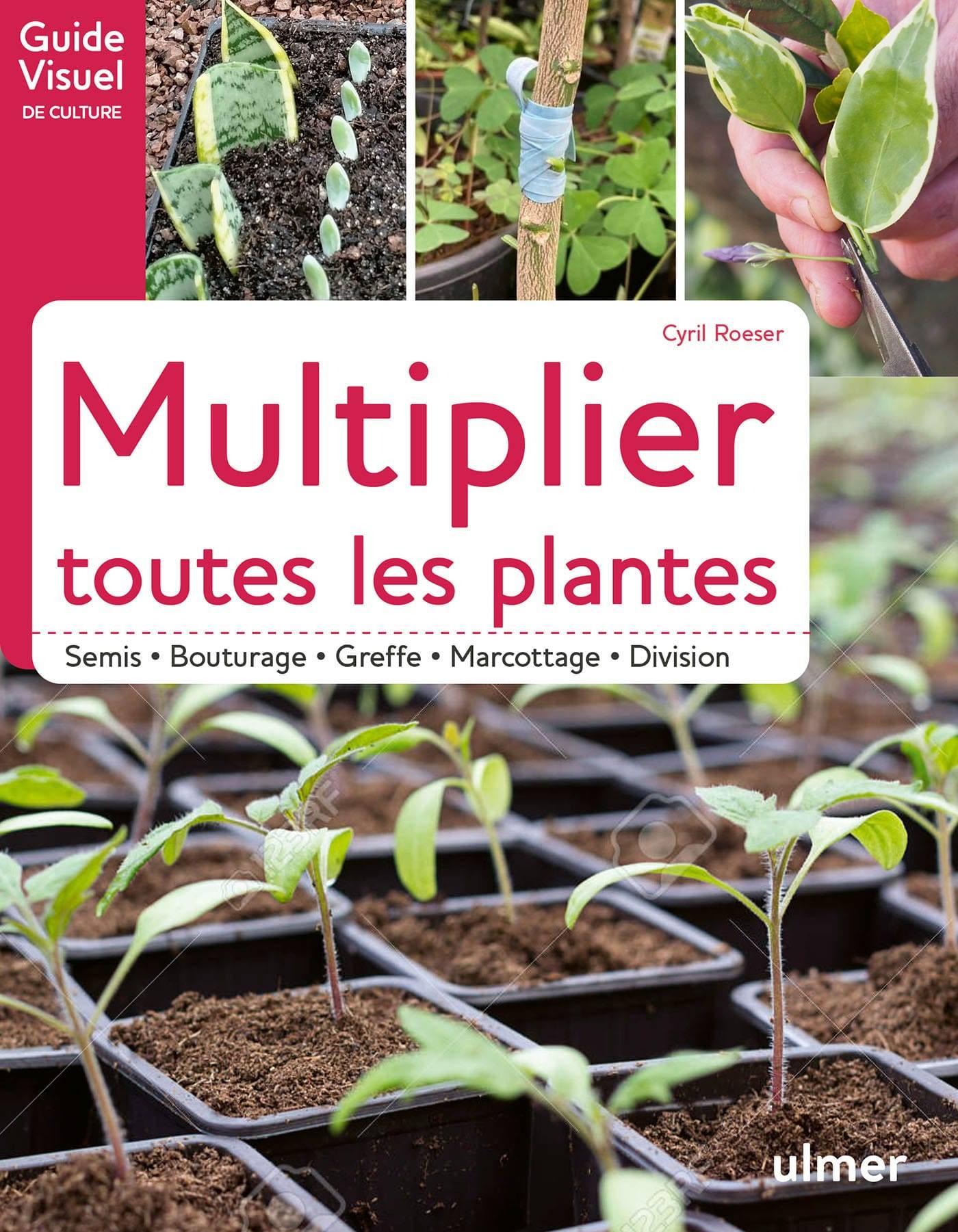 Ulmer - Multiplier toutes les plantes
