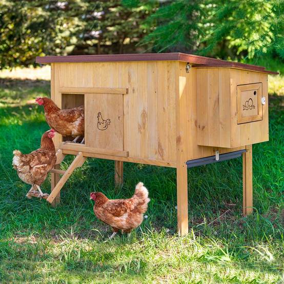 Poulailler hen house en pin nordique marron L.162xP.100xH.110 cm modèle 30 - Ferplast - Image 4