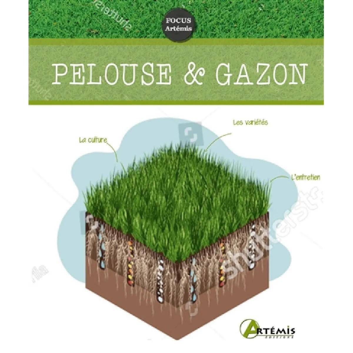 Guide complet pelouse et gazon tous types et climats - Livres