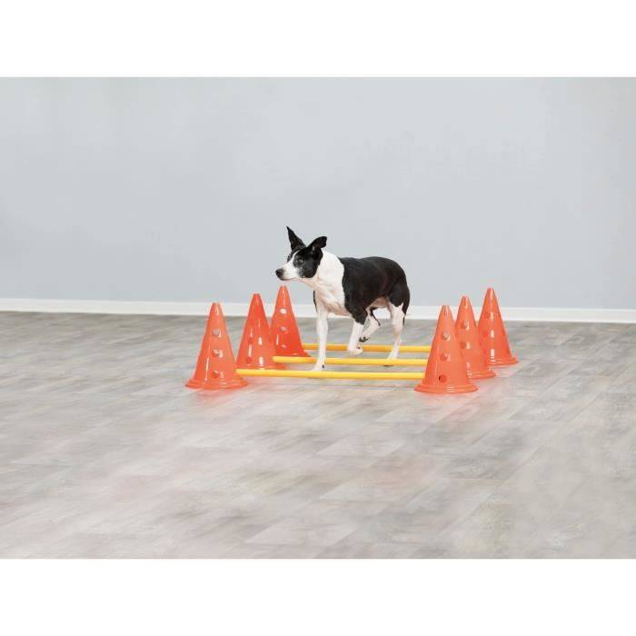 Lot de 3 activités d'obstacle plastique orange et jaune Ø23×30 cm H.78 cm - Trixie - Imagen 9