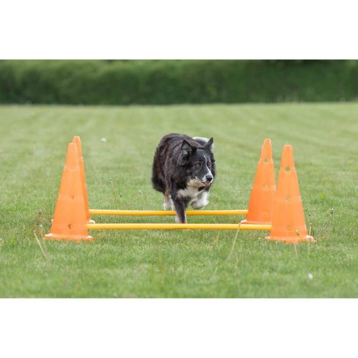 Lot de 3 activités d'obstacle plastique orange et jaune Ø23×30 cm H.78 cm - Trixie - Imagen 8