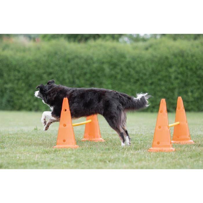Lot de 3 activités d'obstacle plastique orange et jaune Ø23×30 cm H.78 cm - Trixie - Imagen 6