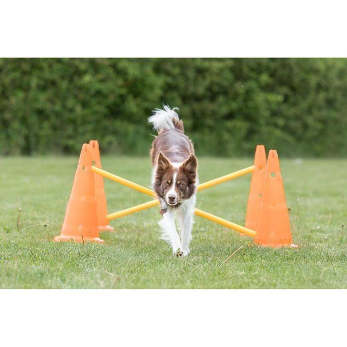 Lot de 3 activités d'obstacle plastique orange et jaune Ø23×30 cm H.78 cm - Trixie - Imagen 10