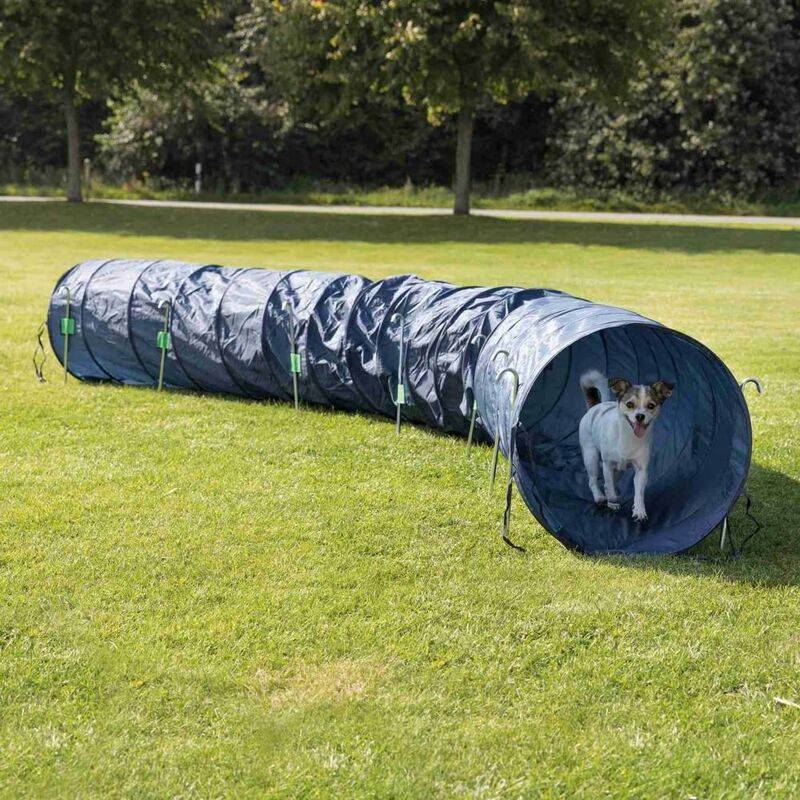 Tunnel Agility type activités pour chien en nylon bleu - Trixie - Imagen 1