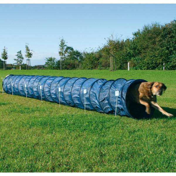 Tunnel Agility type activités pour chien en nylon bleu - Trixie - Imagen 2