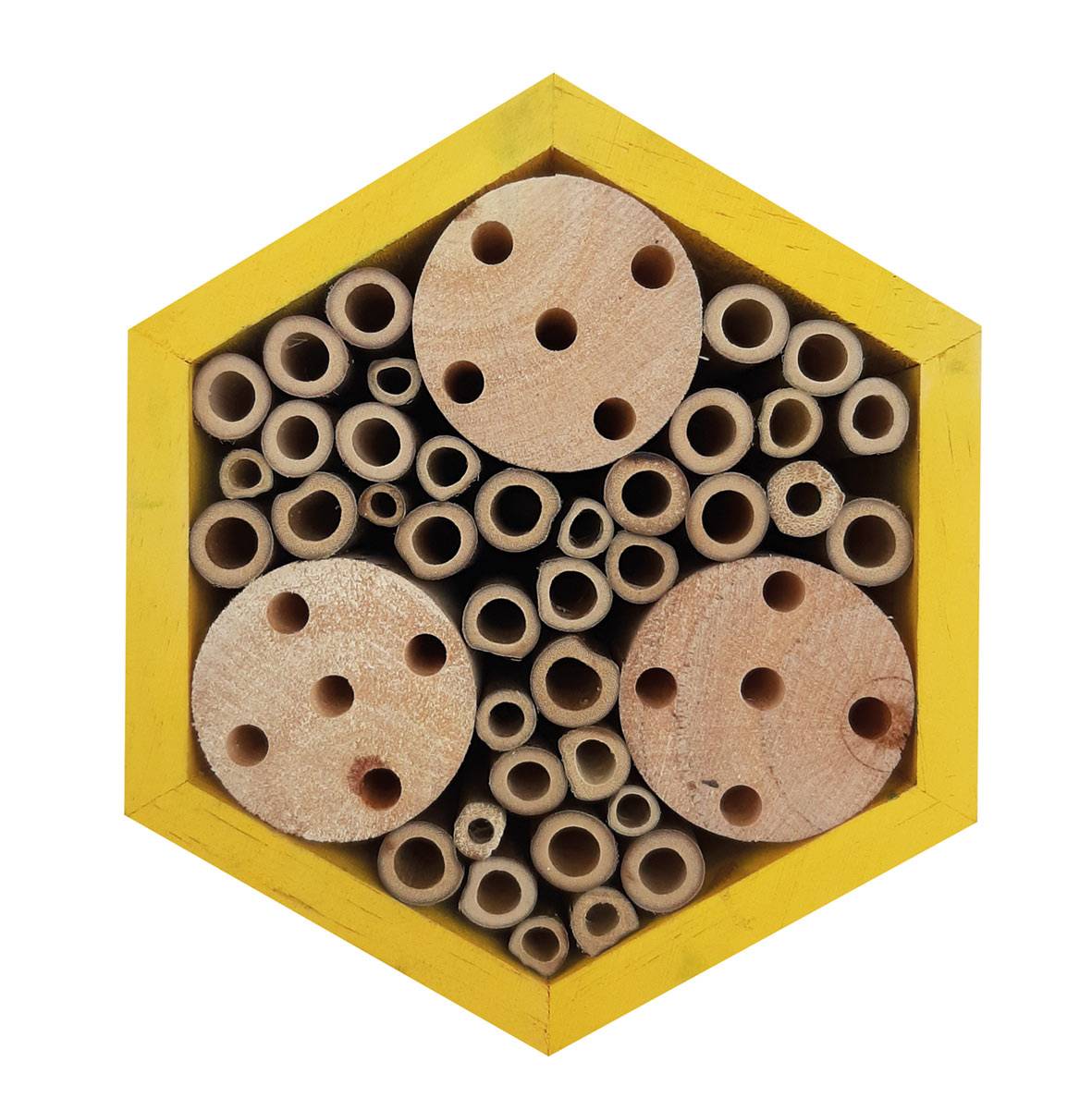 Plume & compagnie - Plume & Compagnie - Mini Hotel a Combinar - Abeja