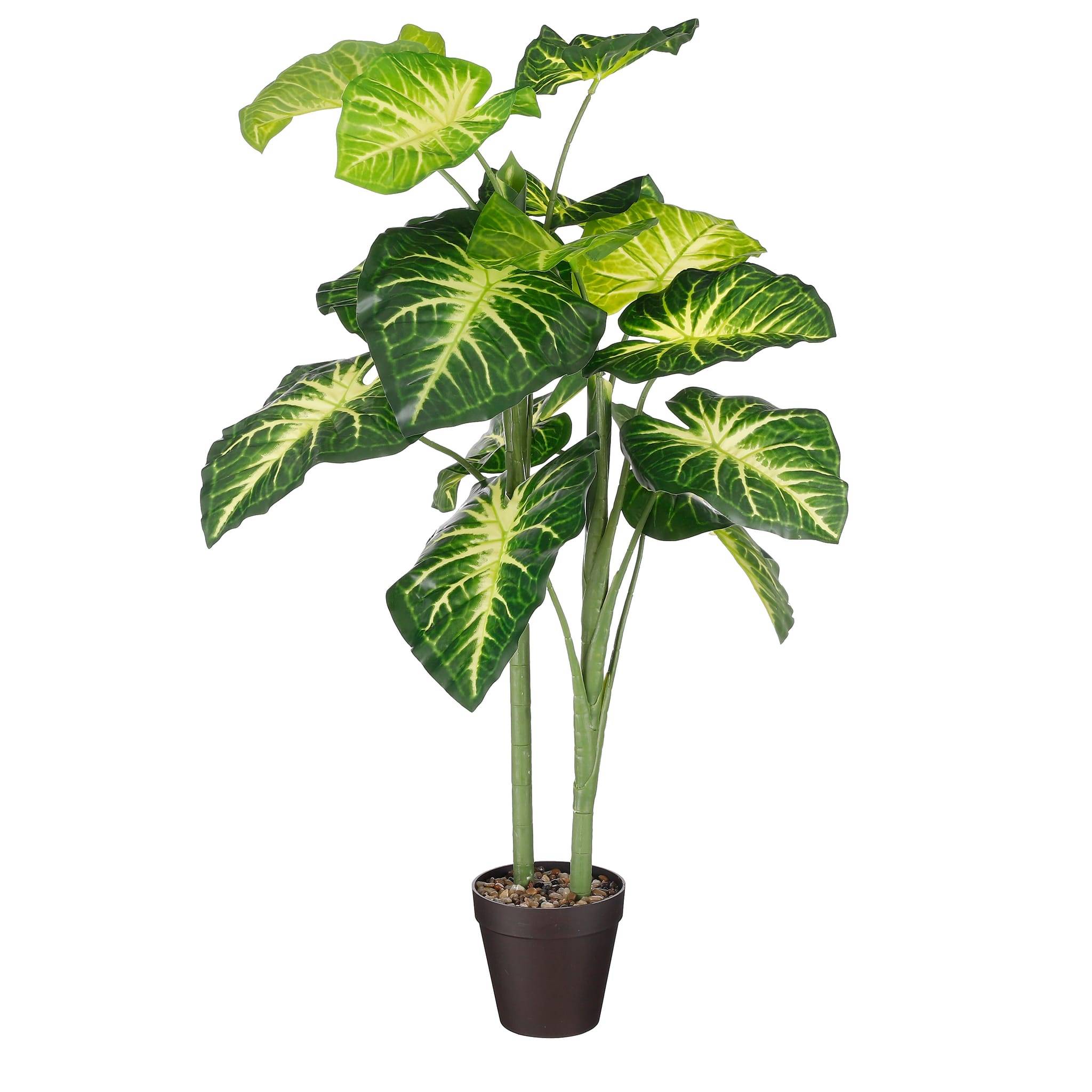 Caladium en pot vert -polyester-Vert- h100xd50cm