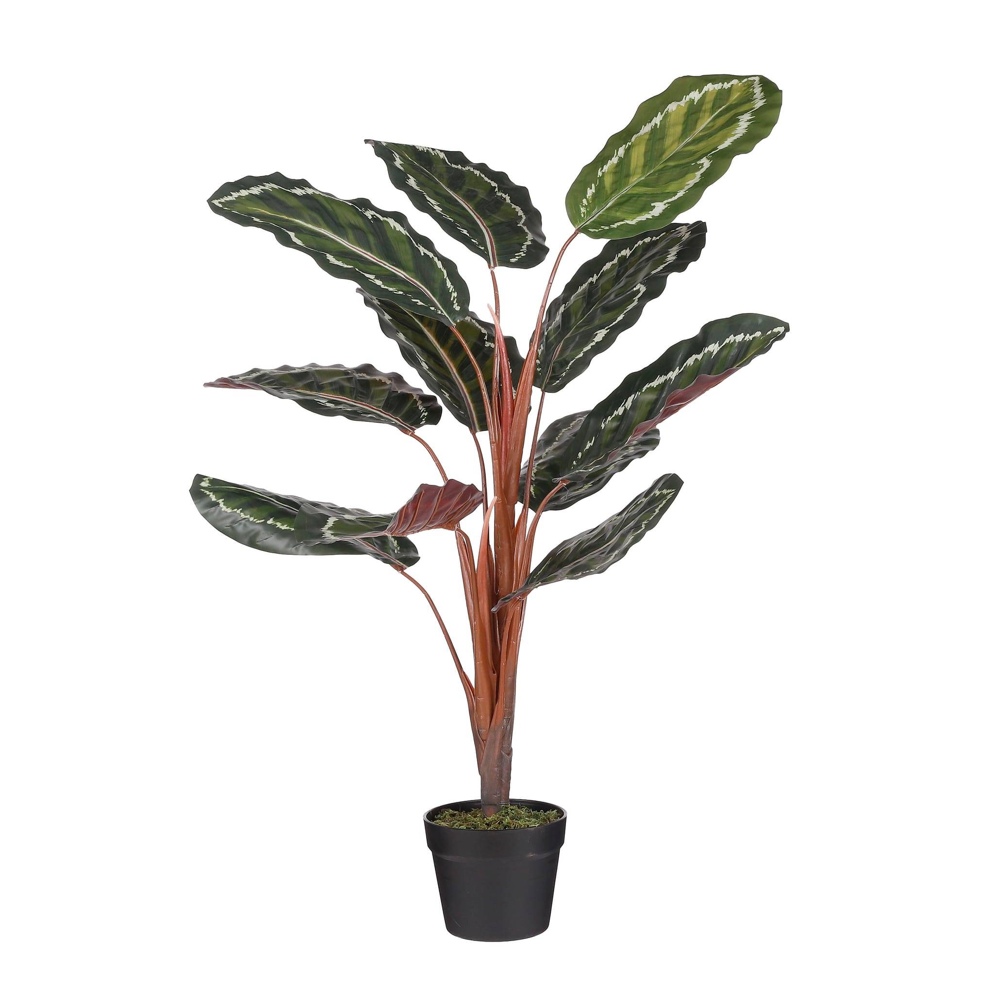 Calathea roseopicta en pot vert -polyester-Vert- h90xd60cm