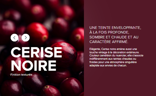 Fermob - Pied simple Balad cerise noire - Image 3