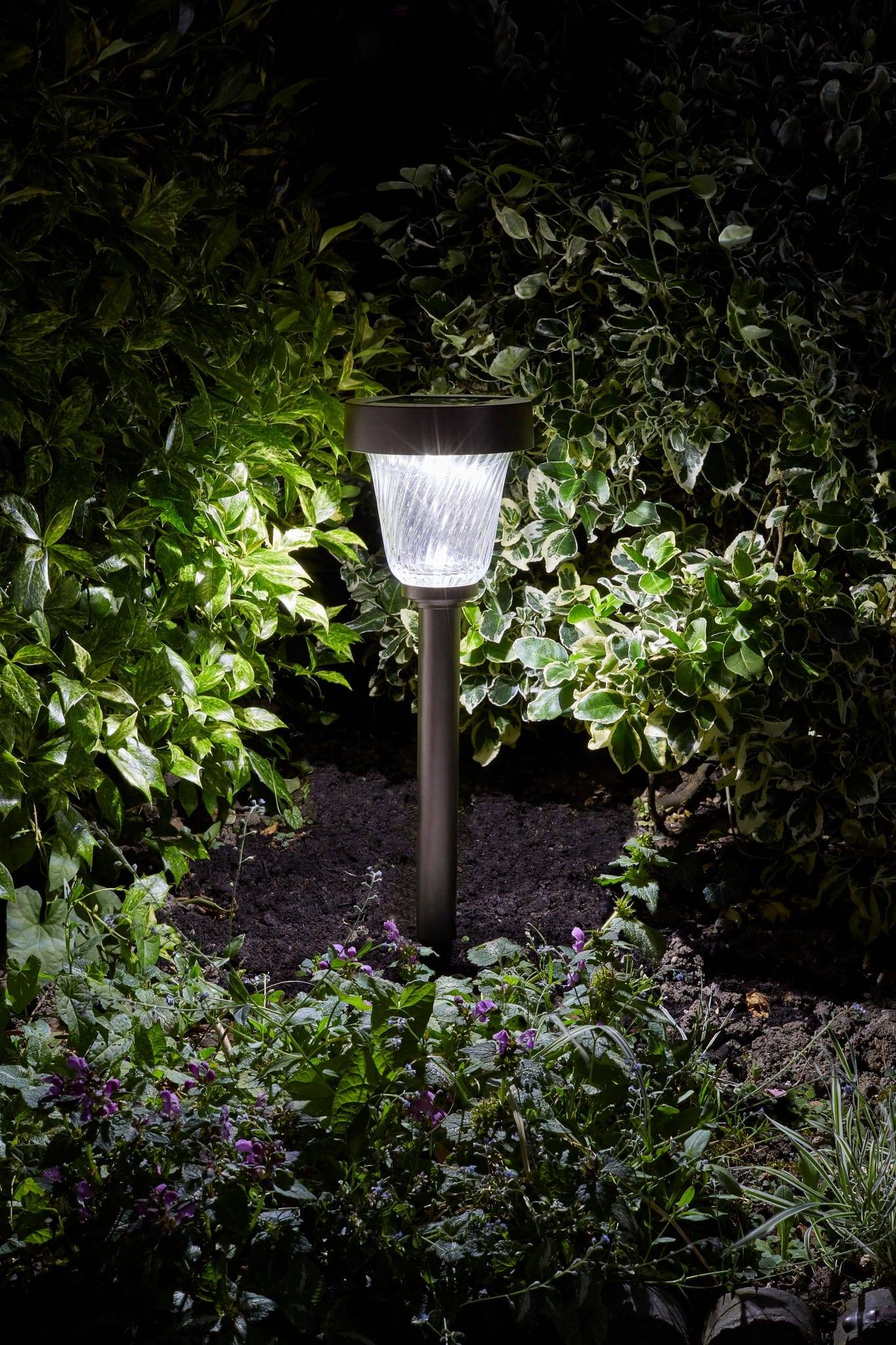 Smart Garden - balise capella 50l - Imagen 1
