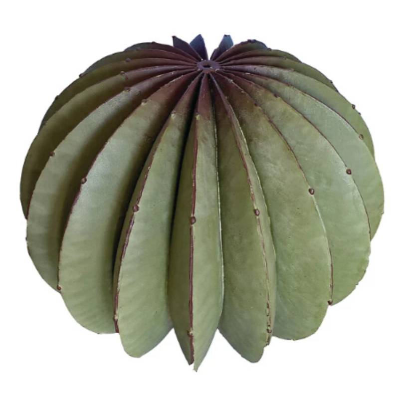 Cactus oursin métal vert et ocre Ø40 cm modèle galva - Decoriale - Image 5