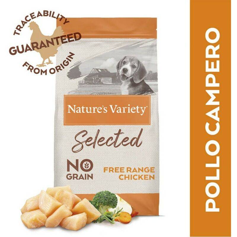 NV chien Selected junior poulet 10kg - Image 1