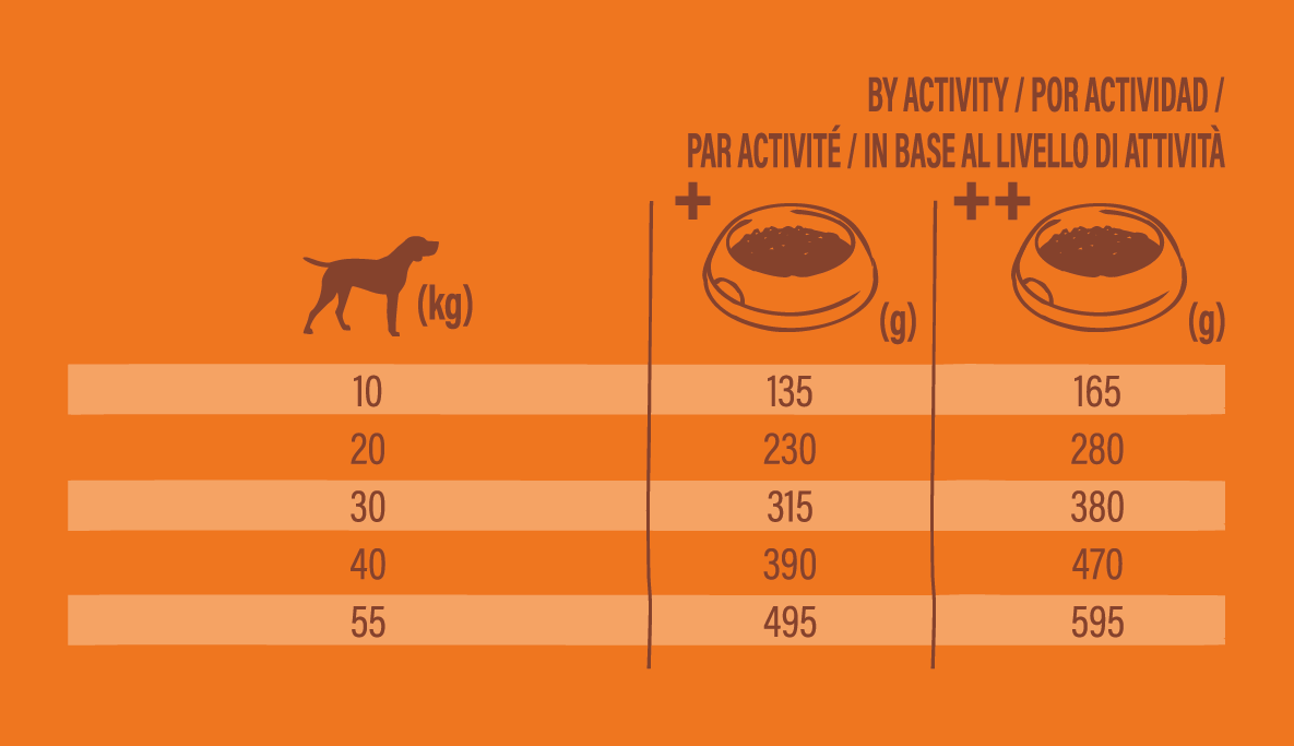 Croquettes pour chien adulte sans céréales medium maxi saumon 10 kg - Nature's Variety - Imagen 6