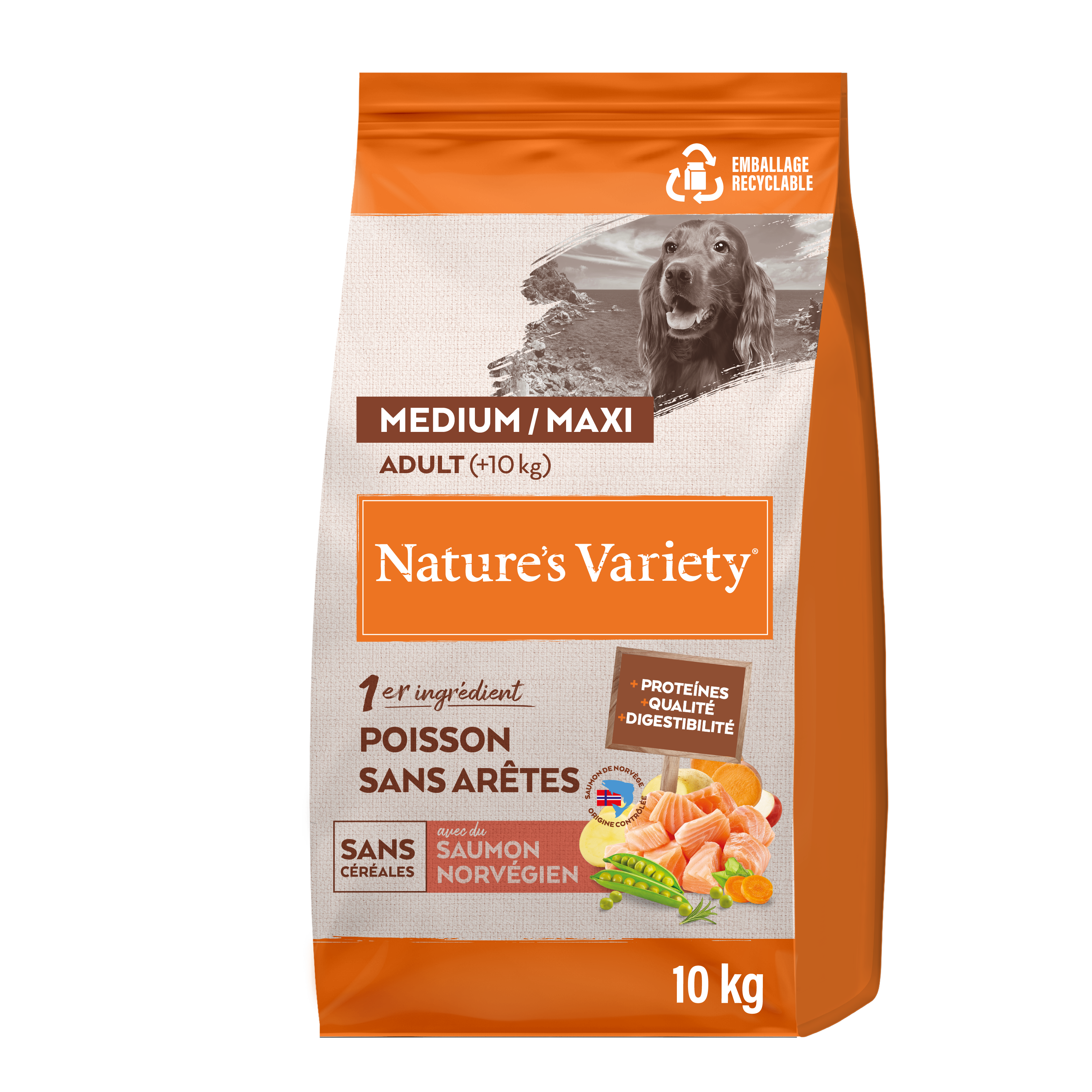 Croquettes pour chien adulte sans céréales medium maxi saumon 10 kg - Nature's Variety - Imagen 3