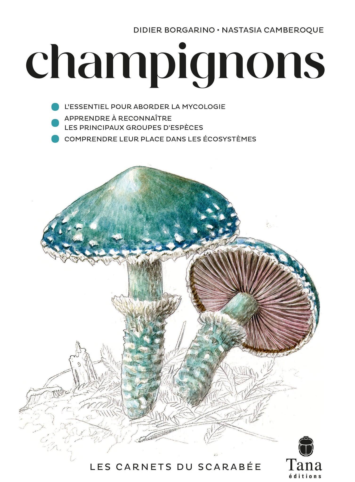 Les carnets du scarabée - Champignons - Borgarino Didier