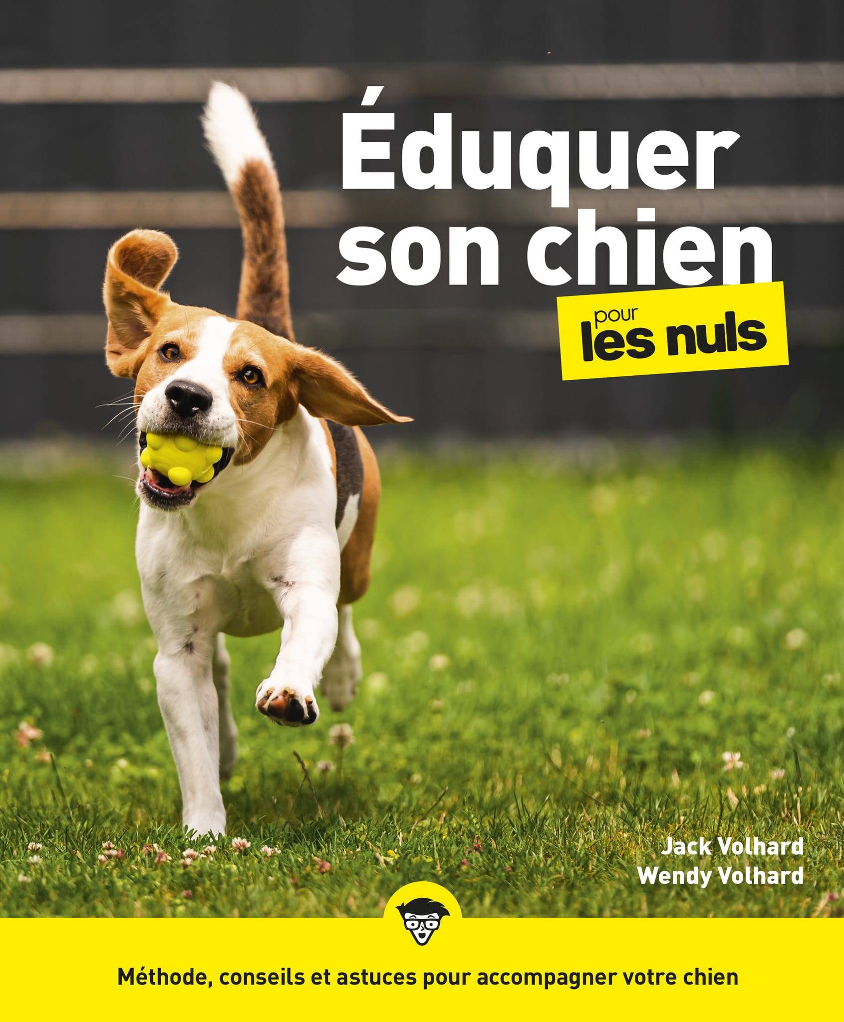 Éduquer son chien pour les Nuls