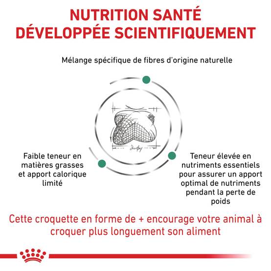 Royal Canin - Royal Canin Vdiet Dog Satiety Support 6 kg - Image 1