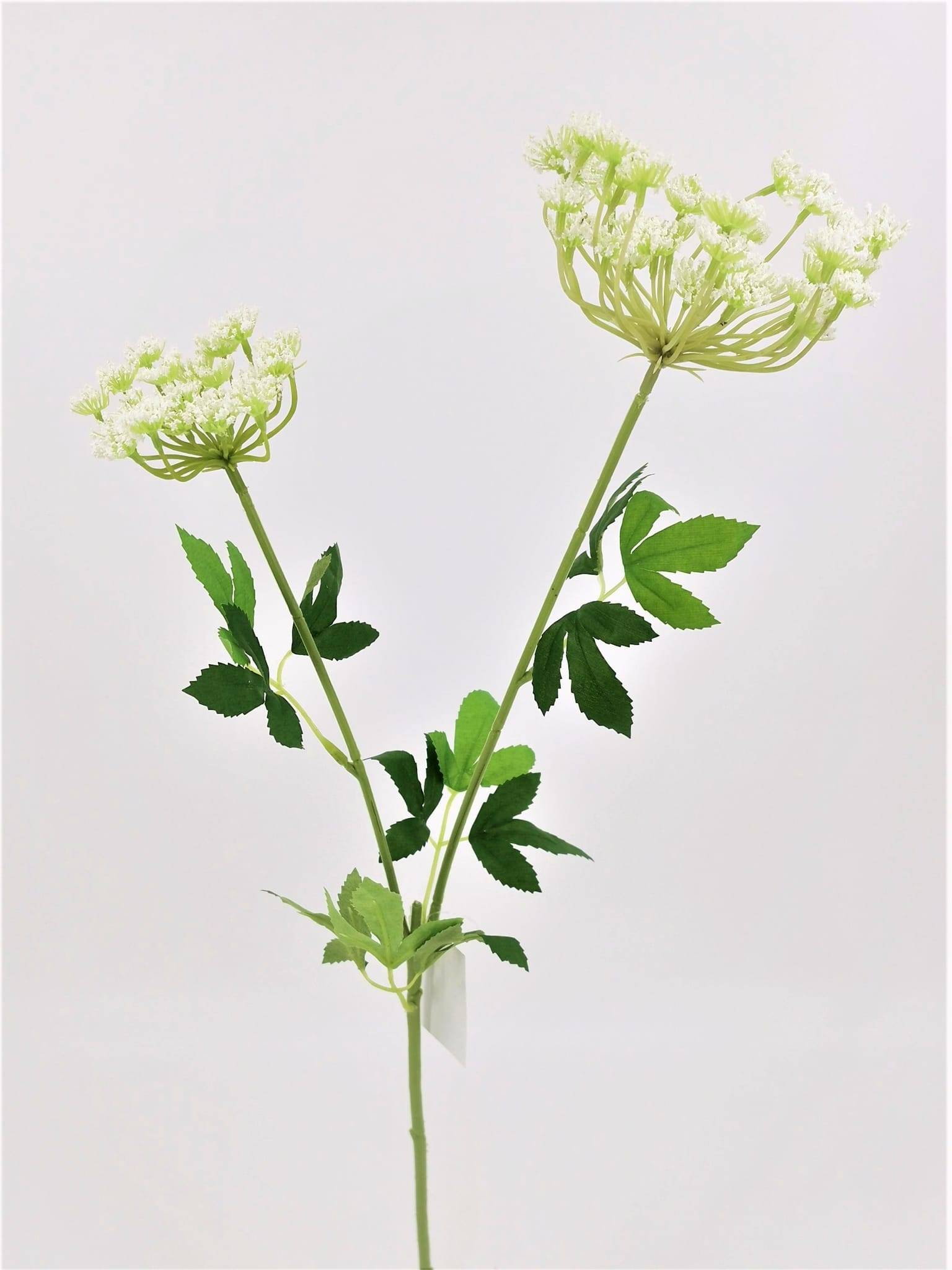 Tige achilée crème artificielle 70 cm