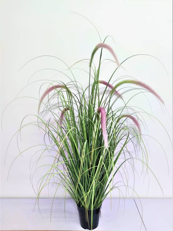 Graminée herbes joncs rose artificielle 120 cm dans pot