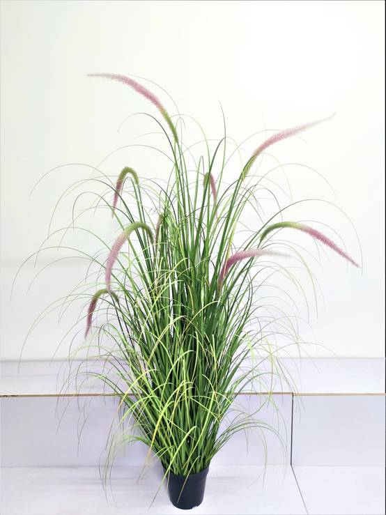 Graminée herbes joncs rose artificielle 150 cm dans pot