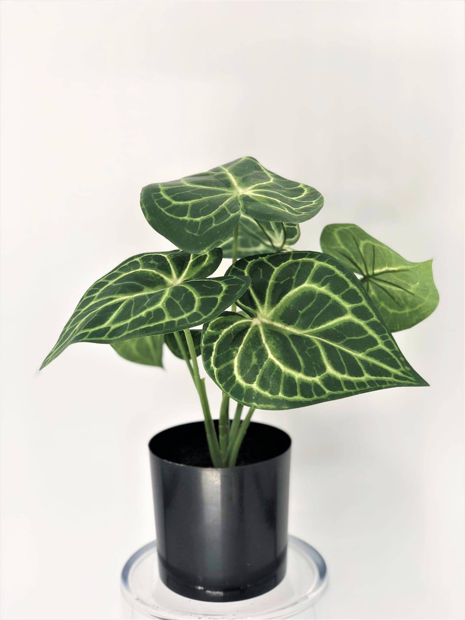 Anthurium clarinervium artificiel en pot 31 cm