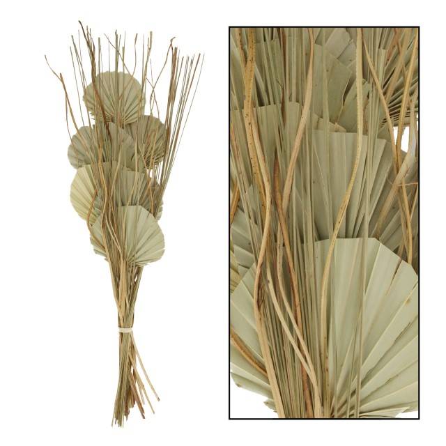 FEUILLE DE PALMIER 75CM