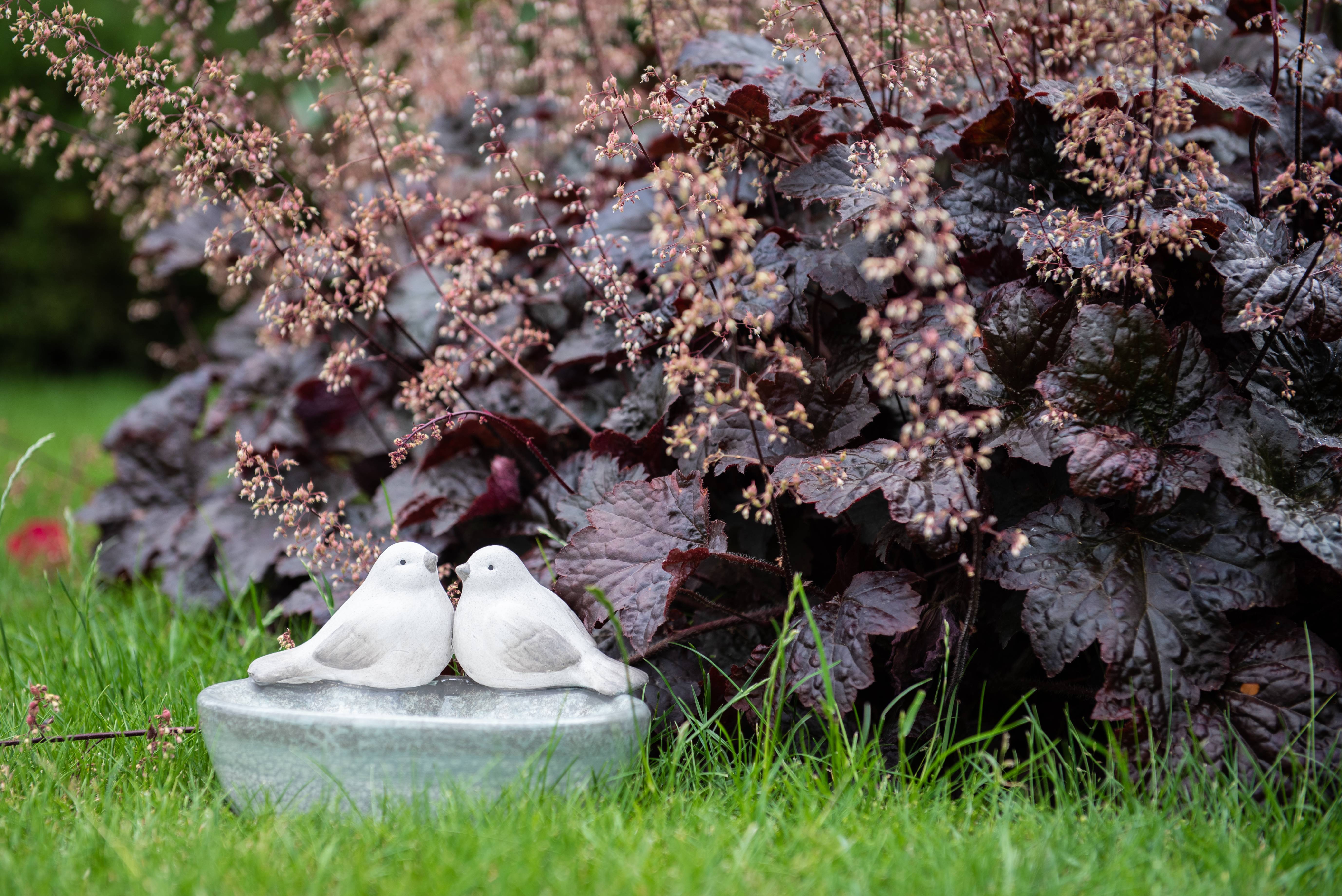Garden ID - Bain oiseau Ø20 x H.12 cm - Garden Id - Imagen 3