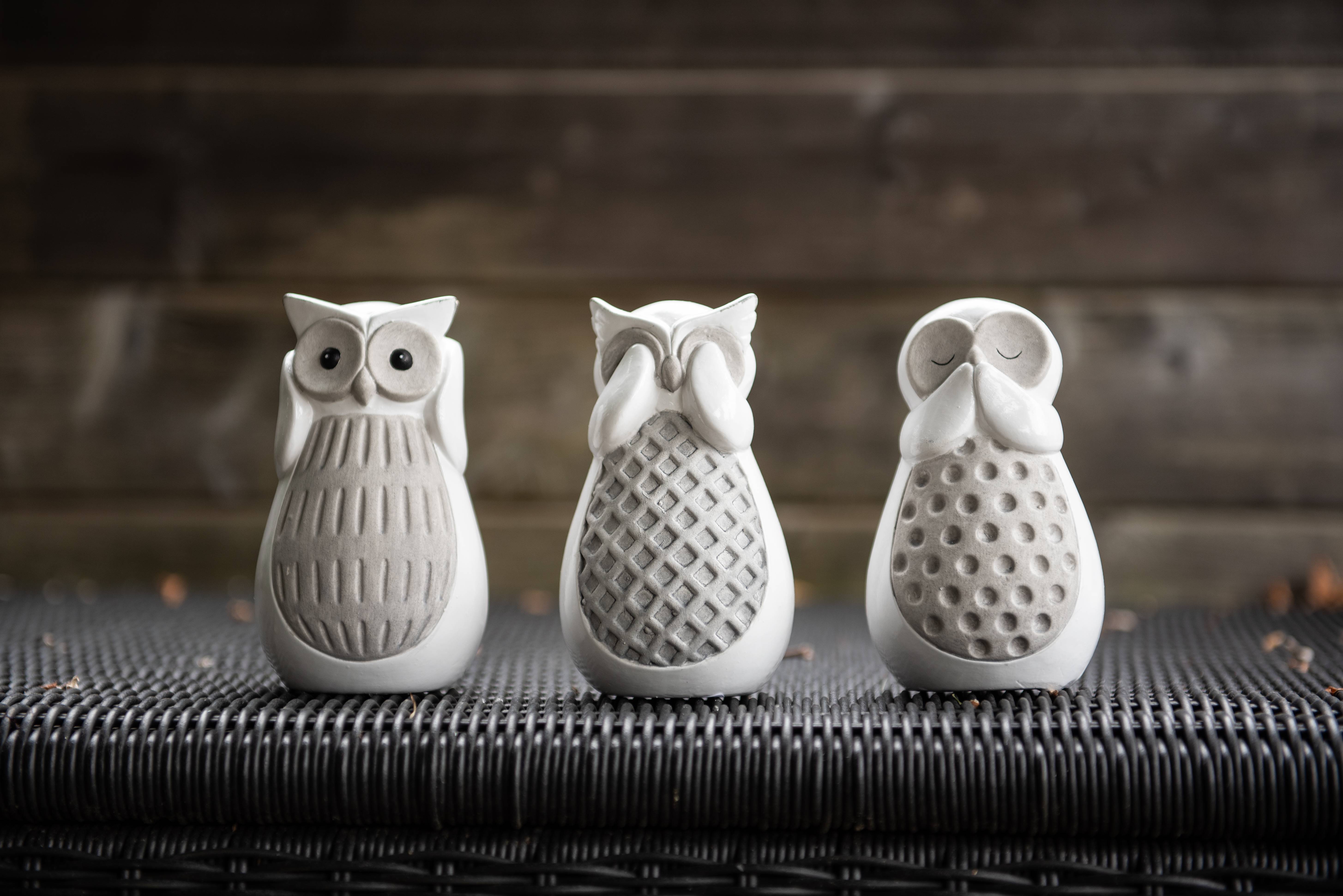 Garden ID - Statue hibou L.9 x l.7 x H.14 cm - Garden Id - Imagen 5
