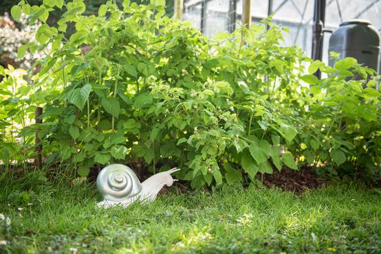 Garden ID - Garden ID - Escargot en polyrésine L.42 x l.20 x H.16 cm - Image 4