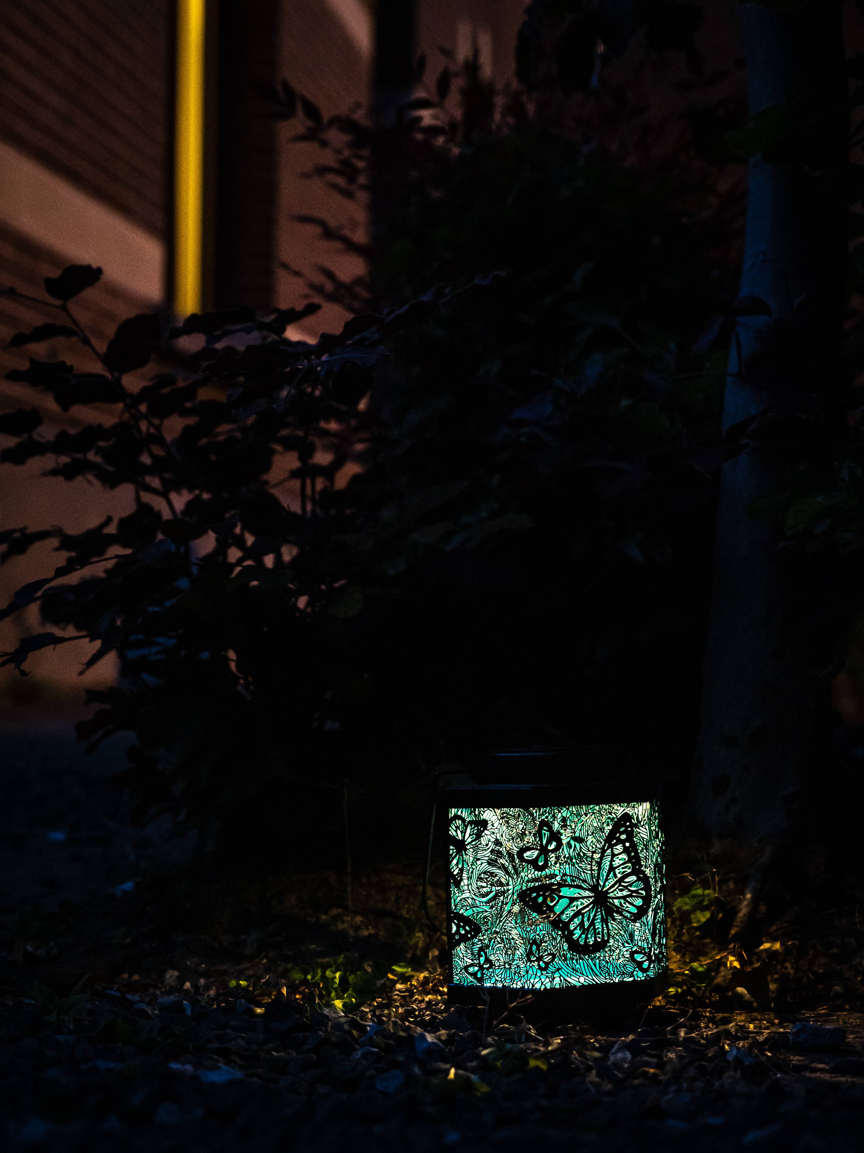 Garden ID - Garden ID - Lanterne solaire papillon L.13 x l.9,5 x H.15 cm - Imagen 3