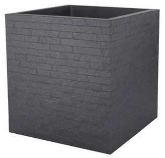 Ecloz - Bac décoratif - ECLOZ
