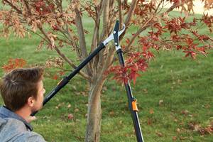 Coupe-branches telescopique - FISKARS - Imagen 6