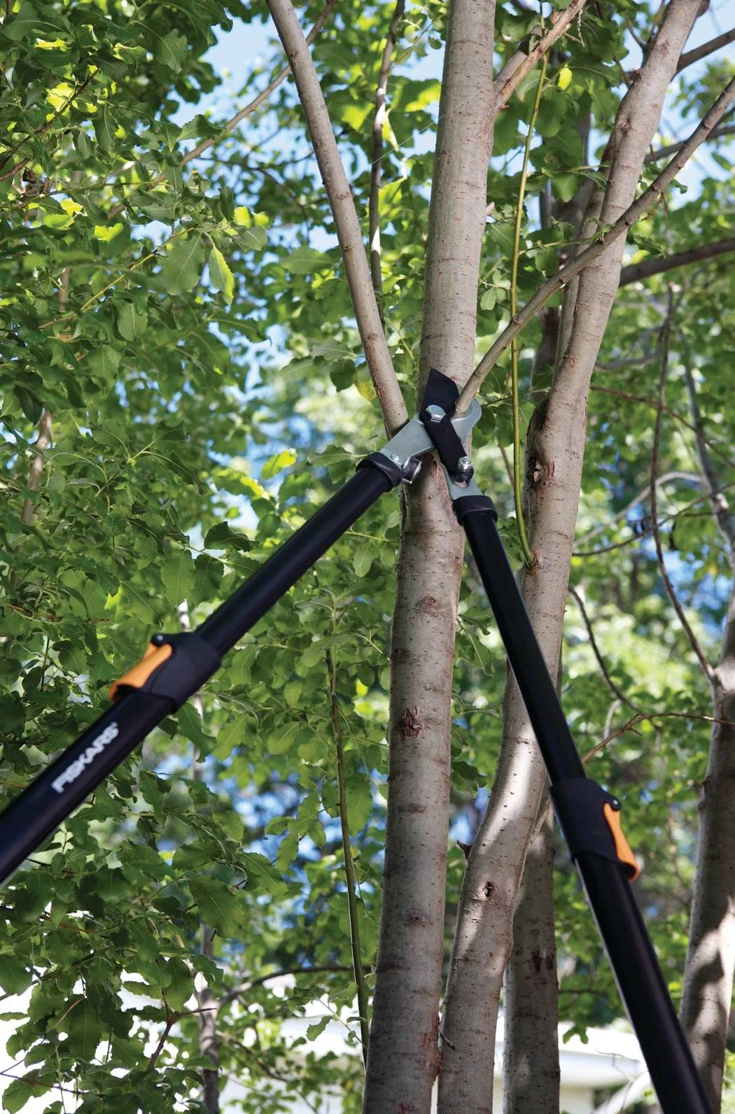 Coupe-branches telescopique - FISKARS - Imagen 12
