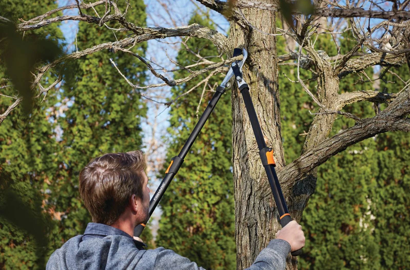 Coupe-branches telescopique - FISKARS - Imagen 7