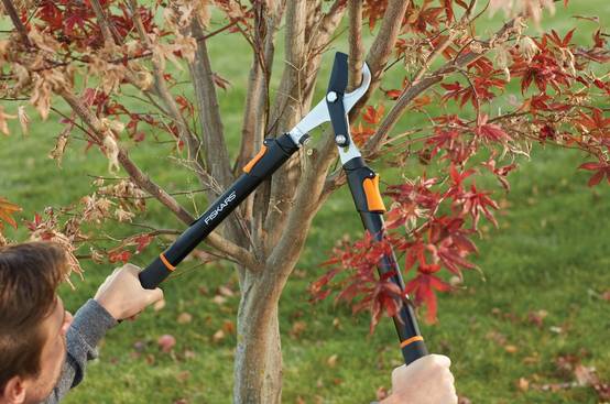 Coupe-branches telescopique - FISKARS - Image 10