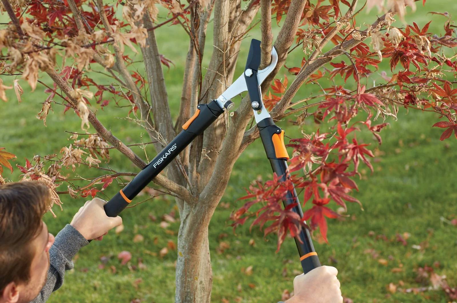 Coupe-branches telescopique - FISKARS - Imagen 10