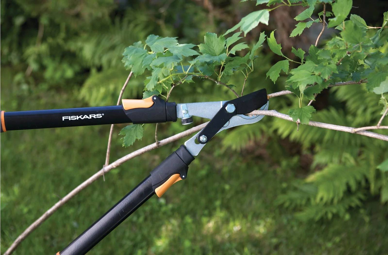 Coupe-branches telescopique - FISKARS - Imagen 8