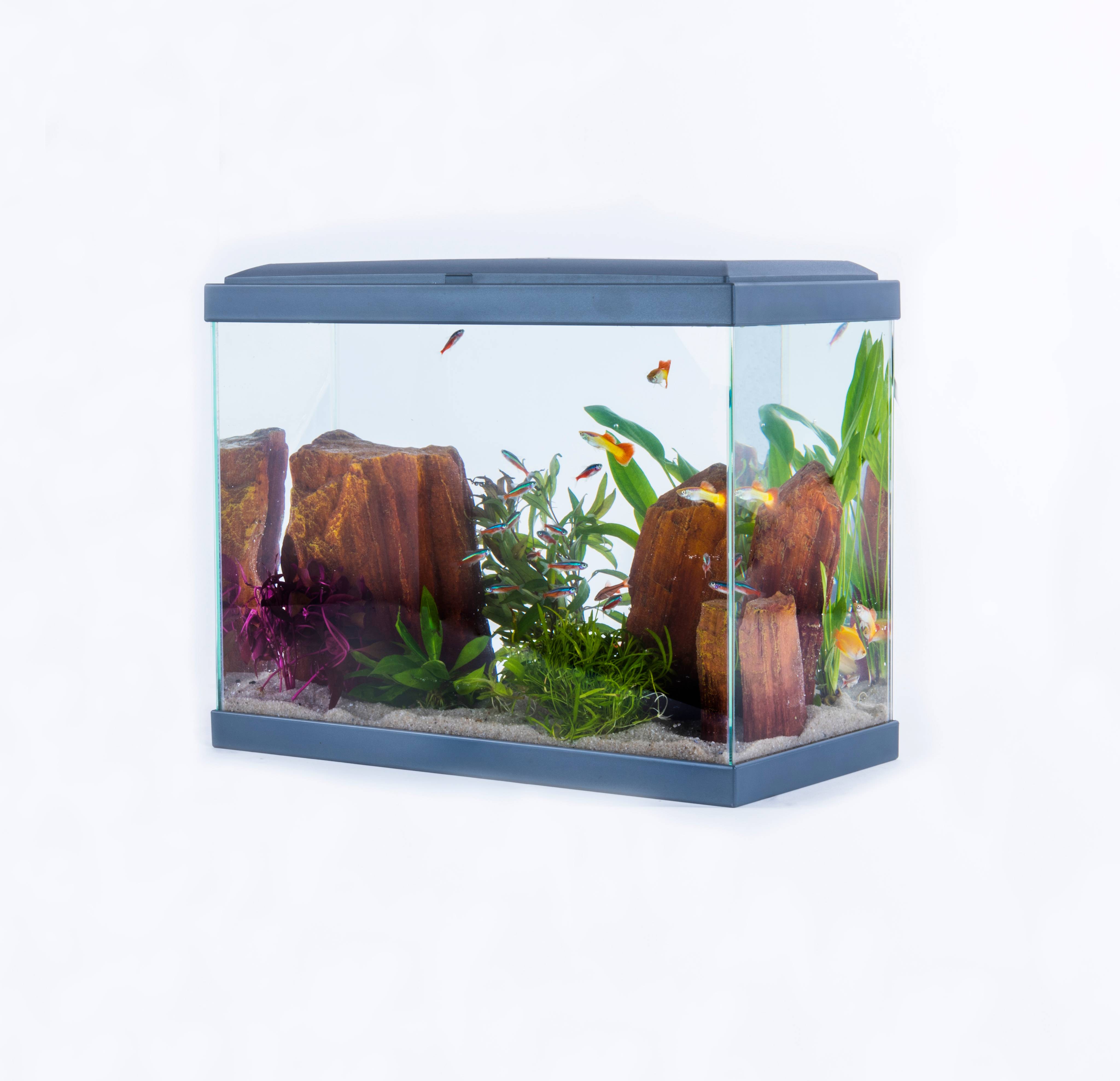 Pure Family - Aquarium pour poisson Fresh 40 gris 20 L - Pure Family - Imagen 2