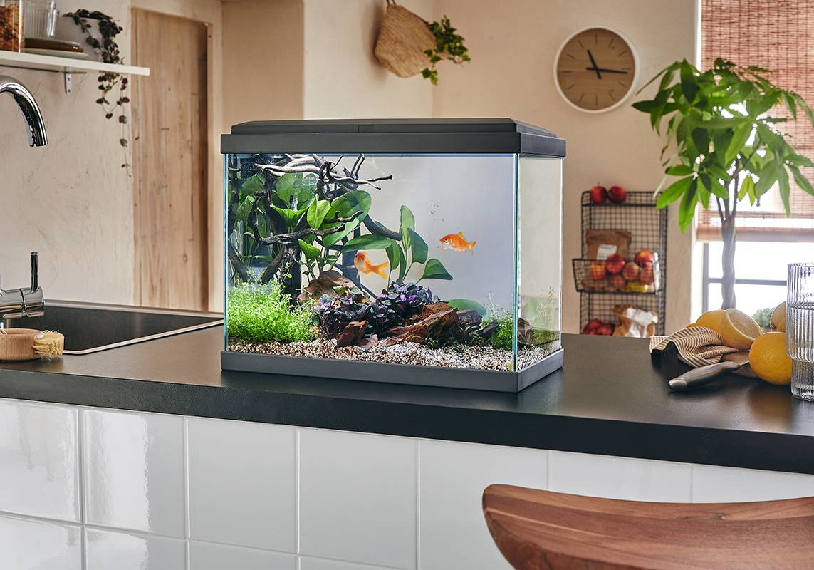 Pure Family - Aquarium pour poisson Fresh 40 Led gris 20 L - Pure Family