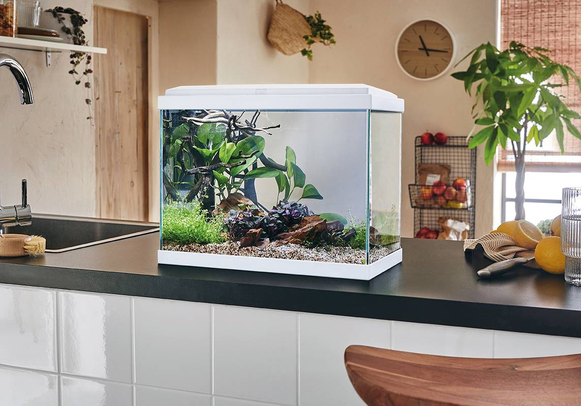 Pure Family - Aquarium pour poisson Fresh 40 Led blanc 20 L - Pure Family